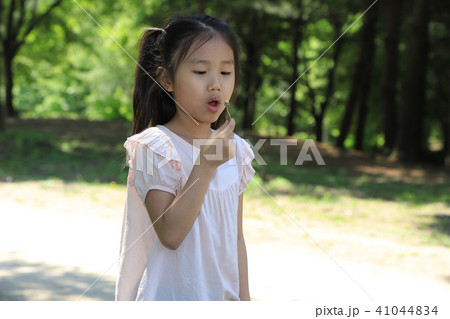 女の子 少女 子供 41044834