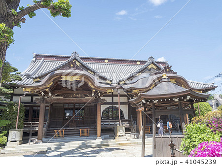 東京の谷中にある大円寺の本堂（東京都台東区） 41045239