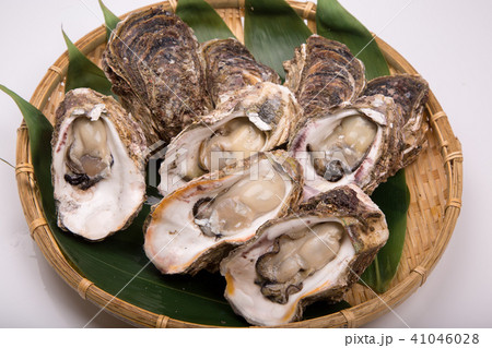 岩牡蠣　食材 41046028