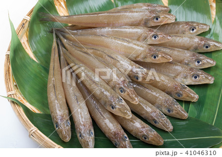 キス 魚 食材 キス 魚 食材 41046310
