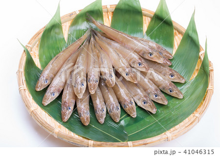 キス　魚 食材 41046315