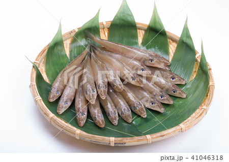 キス 魚 食材 キス 魚 食材 41046318