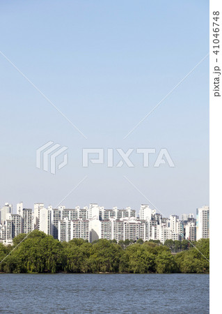 パム島 高層マンション 屋外 41046748