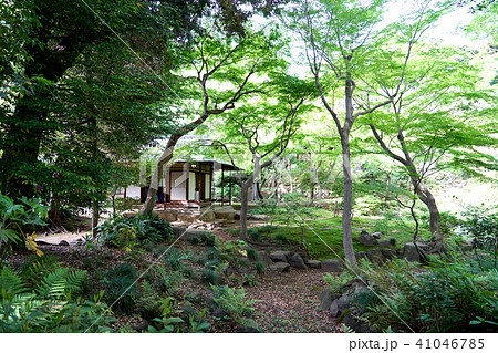 旧古河庭園 日本庭園内茶室 41046785