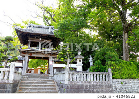西光寺 表門 磐田市 西光寺 表門 磐田市 41046922