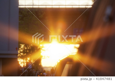 太陽 日光 日差し 41047481