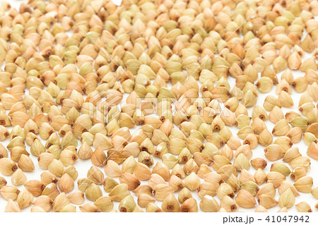 蕎麦の実:buckwheat groats 41047942