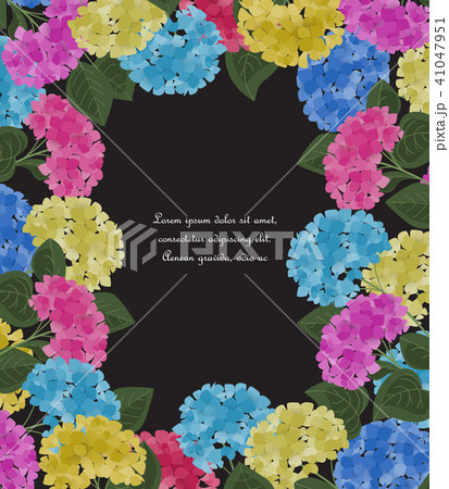 Vector hydrangea flower Vector hydrangea flower 41047951