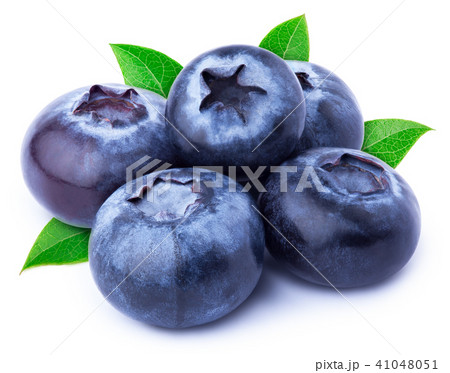 Five blueberries with leaves isolated 41048051