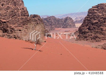 Wadi Rum desert landscape,Jordan Wadi Rum desert landscape,Jordan 41048588