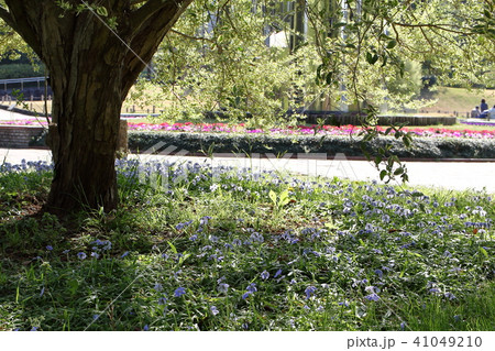 木陰 木陰 41049210