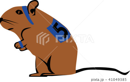 rennmaus_2c.eps 41049385