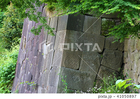玉泉院丸庭園（石川県・金沢市） 41050897