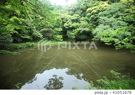 白兎神社の御身洗池 白兎神社の御身洗池 41051676