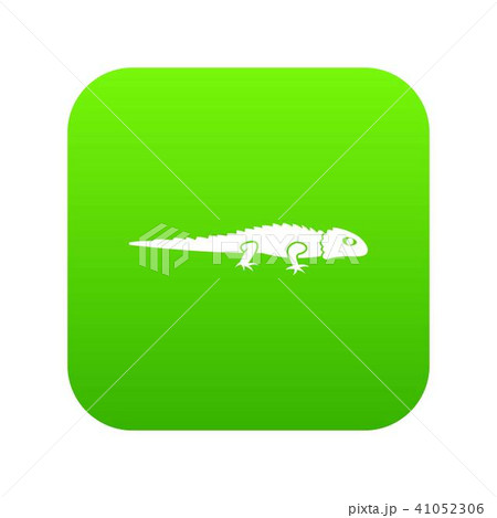 Iguana icon digital green Iguana icon digital green 41052306