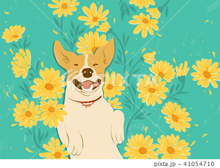 犬 狗 わんこ 41054710