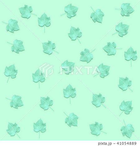 green leaves 41054889