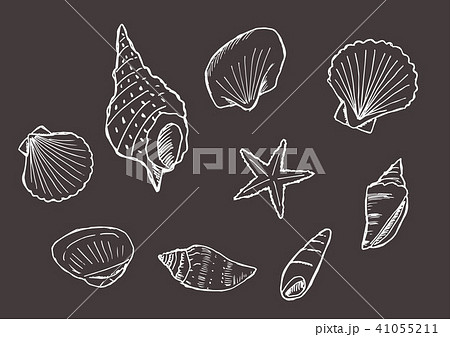 貝殻のイラストセット 背景黒 線白 のイラスト素材