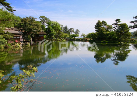 兼六園・霞ヶ池（石川県・金沢市） 41055224