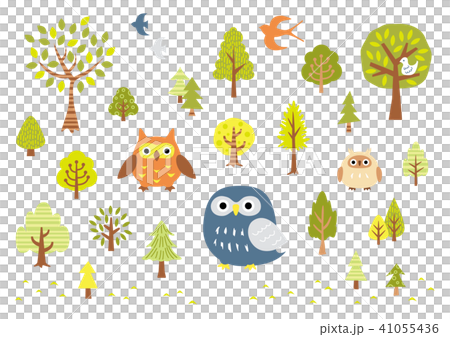 Owl and tree 41055436