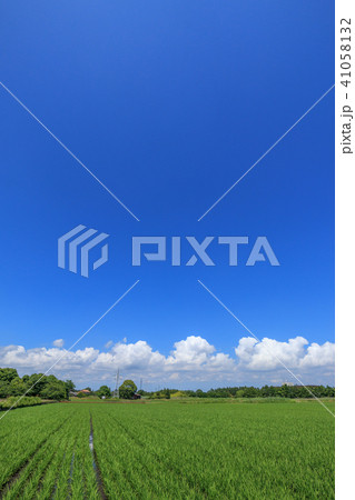 千葉県長生村の田園風景 千葉県長生村の田園風景 41058132