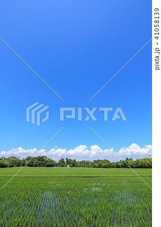 千葉県長生村の田園風景 千葉県長生村の田園風景 41058139