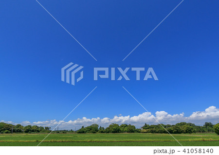 千葉県長生村の田園風景 41058140