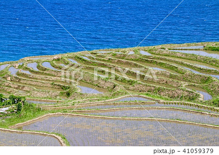白米千枚田(石川県・輪島市) 白米千枚田(石川県・輪島市) 41059379