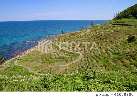 白米千枚田（石川県・輪島市） 41059386