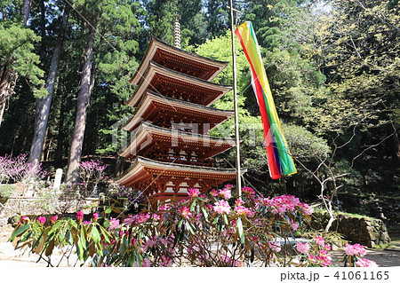 室生寺の春景色 室生寺の春景色 41061165