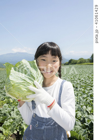 キャベツ畑と子供 キャベツ畑と子供 41061429