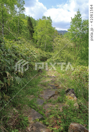旧野麦街道　飛騨側 41061564
