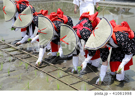 田植え　お田植え祭り　早乙女 41061998