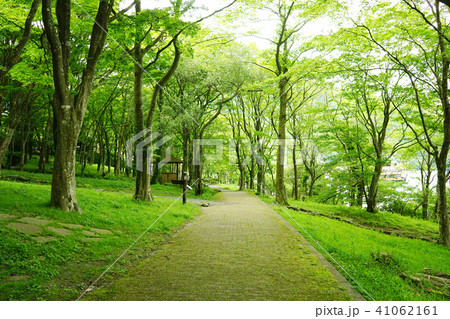 湖畔ふれあい園地 新緑 湖畔ふれあい園地 新緑 41062161