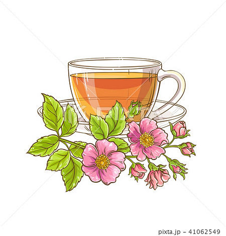 dog rose tea illustration 41062549