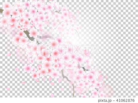 桜の木の壁紙のイラスト素材 41062876 Pixta