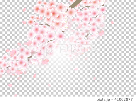 桜の木の壁紙のイラスト素材