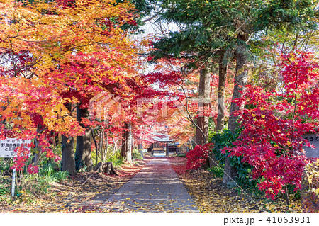 紅葉　川口市安行の興禅院 41063931