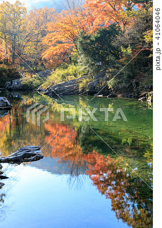 紅葉 嵐山渓谷の美しい風景の写真素材