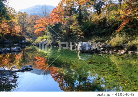 紅葉 嵐山渓谷の美しい風景の写真素材