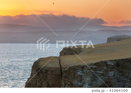 Paracas 41064109