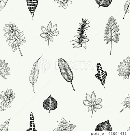 Seamless batanical pattern in vintage style. Leaves and plants. Retro illustration. Vector design Seamless batanical pattern in vintage style. Leaves and plants. Retro illustration. Vector design 41064431