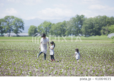 畑作業をする親子 畑作業をする親子 41064635