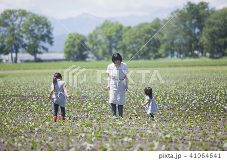 畑仕事をする家族 畑仕事をする家族 41064641