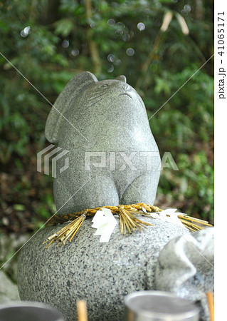白兎神社 うさぎの石像 白兎神社 うさぎの石像 41065171