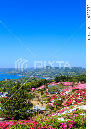 長串山つつじまつりと九十九島 長崎県佐世保市鹿町町 の写真素材