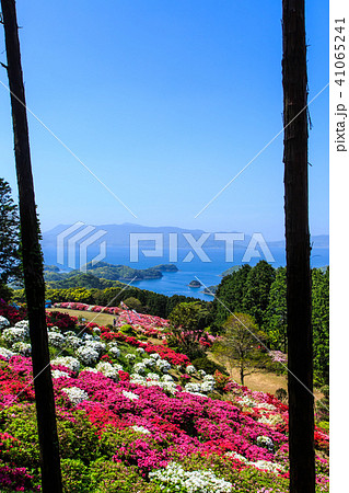 長串山つつじまつりと九十九島　【長崎県佐世保市鹿町町】 41065241