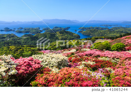長串山つつじまつりと九十九島 【長崎県佐世保市鹿町町】 長串山つつじまつりと九十九島 【長崎県佐世保市鹿町町】 41065244