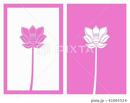 pink lotus vector pink lotus vector 41065524