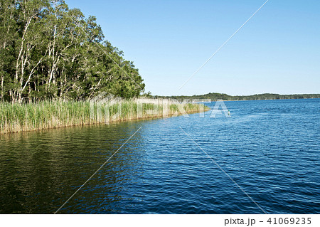 Water Surface of Myall Lake in Australia. Water Surface of Myall Lake in Australia. 41069235